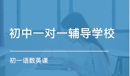 初中補(bǔ)習(xí)一對(duì)一
