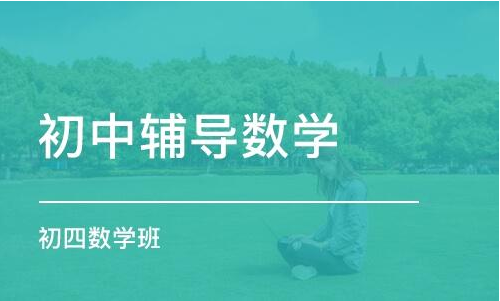 初中數(shù)學學習