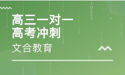 高三必須要一對一嗎