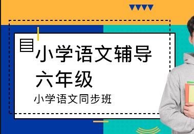 六年級怎樣學(xué)好語文