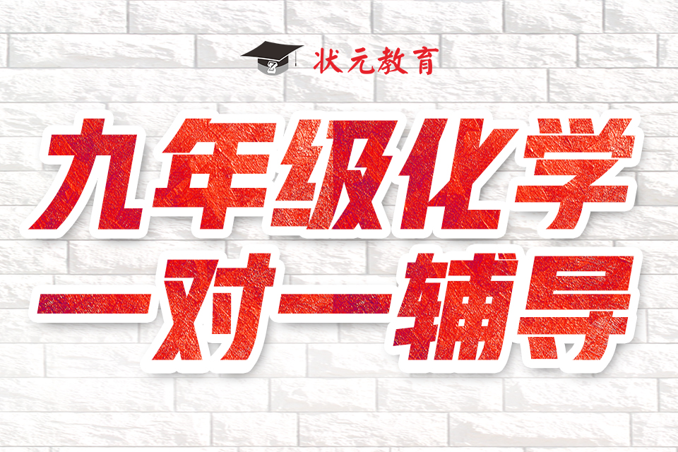 九年級(jí)化學(xué)一對(duì)一輔導(dǎo).jpg