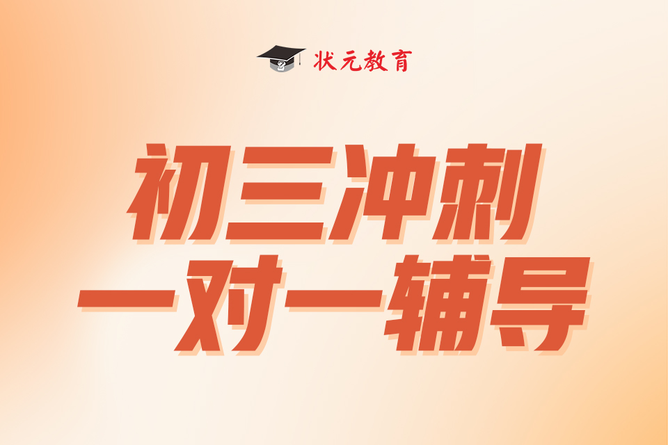初三沖刺一對一輔導(dǎo).jpg