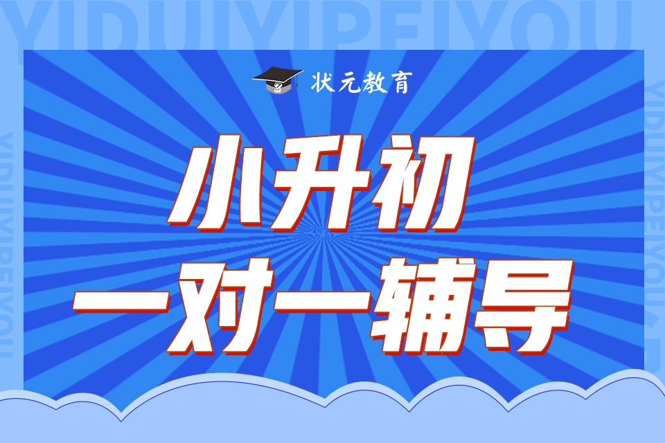 小升初一對(duì)一輔導(dǎo)